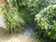 Images for Danes Road, Exeter