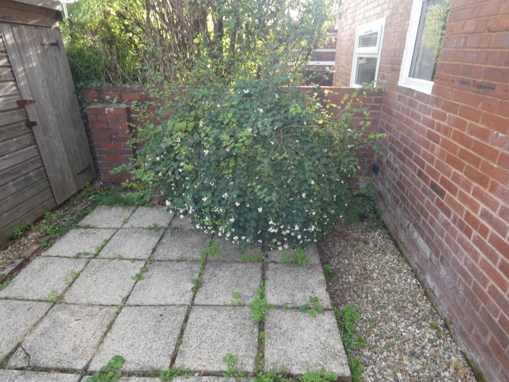 Images for Monks Road, Exeter