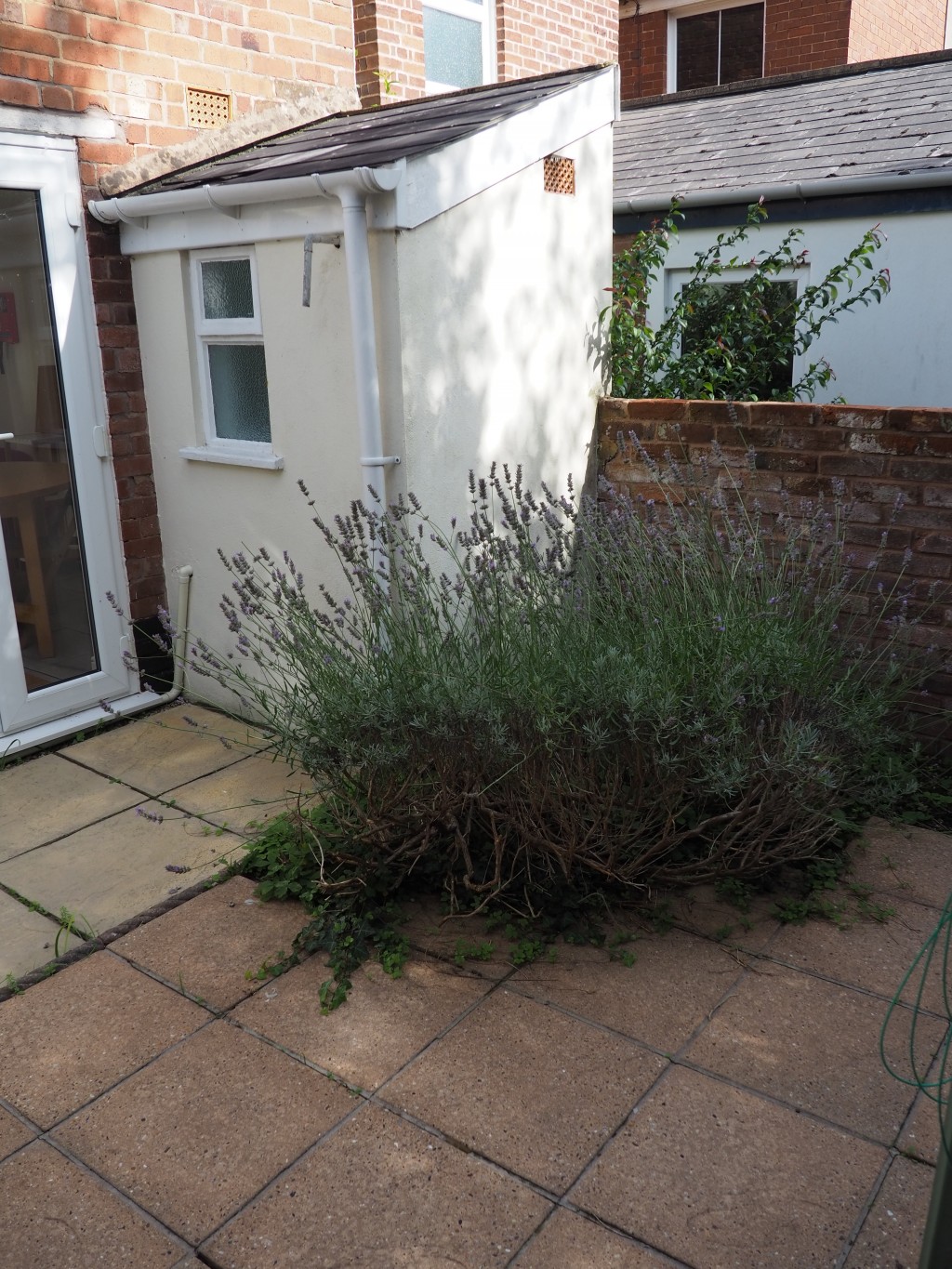 Images for Culverland Road, Exeter