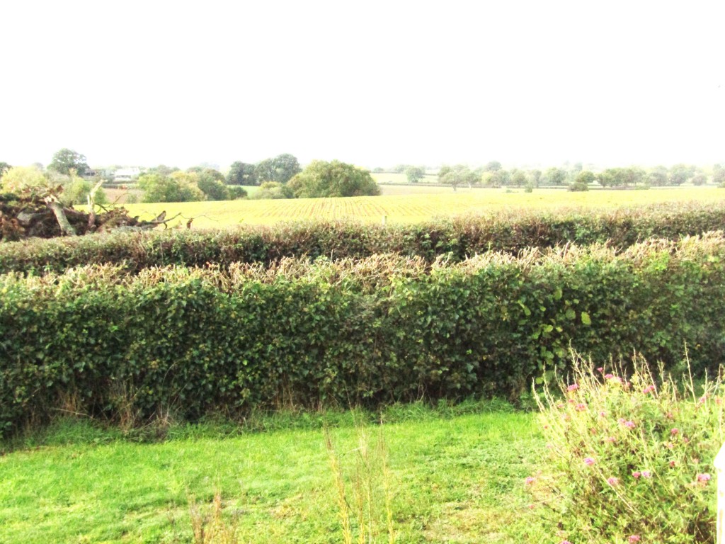 Images for Talaton, Exeter