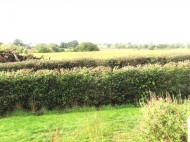 Images for Talaton, Exeter