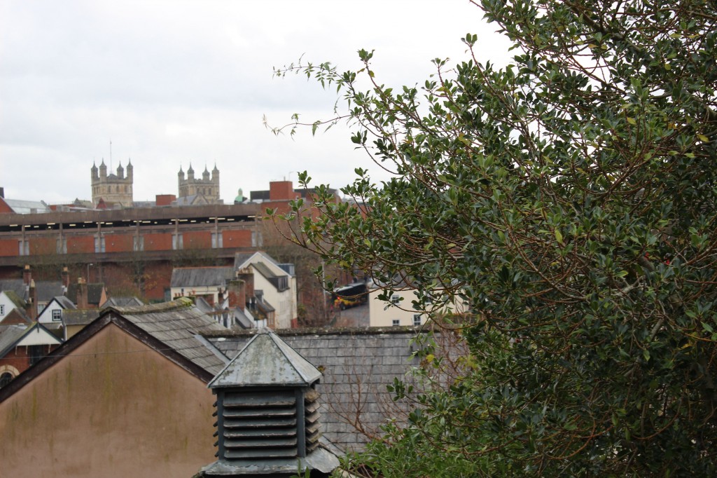 Images for North Bridge Place, Exeter