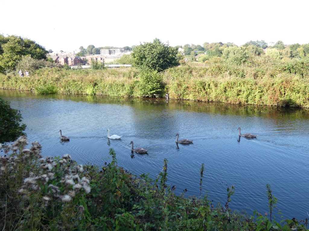 Images for Water Lane, Exeter
