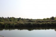 Images for River Meadows, Water Lane, Exeter