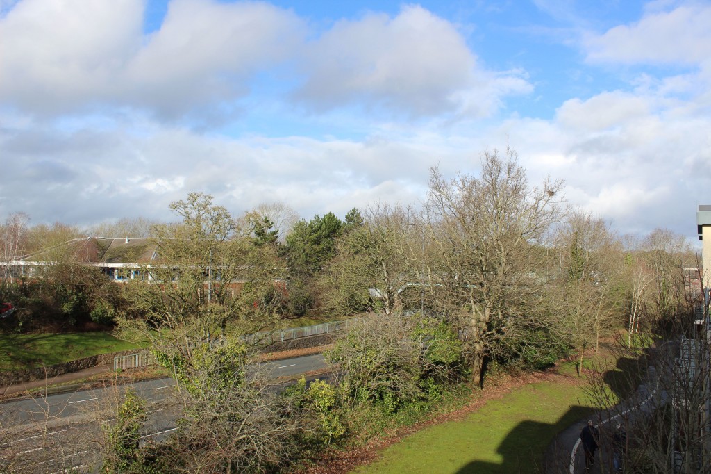 Images for Heraldry Walk, Exeter