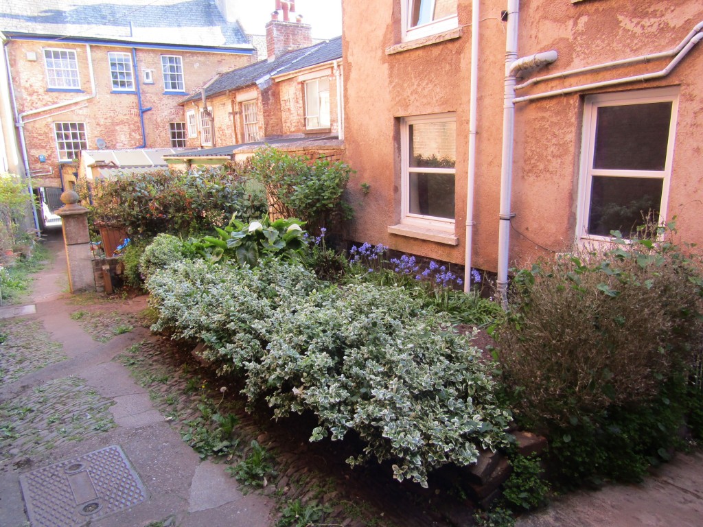 Images for Albert Terrace, High Street, Crediton