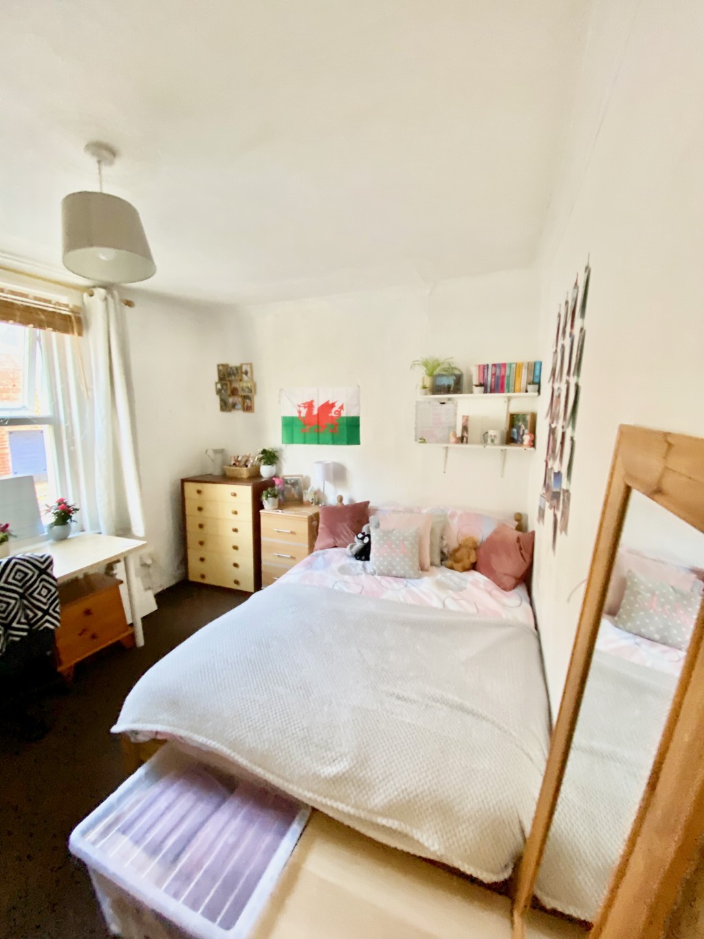 Images for Hoopern Street, Exeter