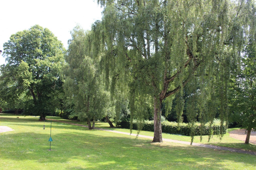Images for South Grange, Clyst Heath, Exeter